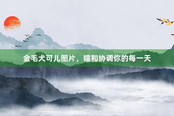 金毛犬可儿图片，暄和协调你的每一天