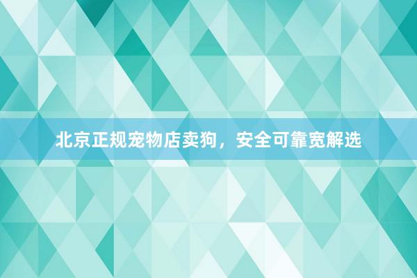 北京正规宠物店卖狗，安全可靠宽解选