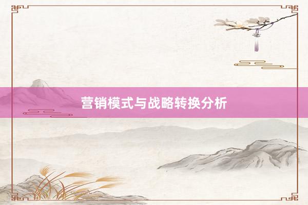 营销模式与战略转换分析